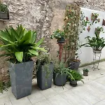 Lejlighed Casa Camilla *